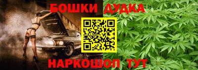 спиды Гатчина