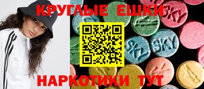 спиды Гатчина