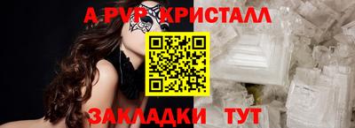 спиды Гатчина