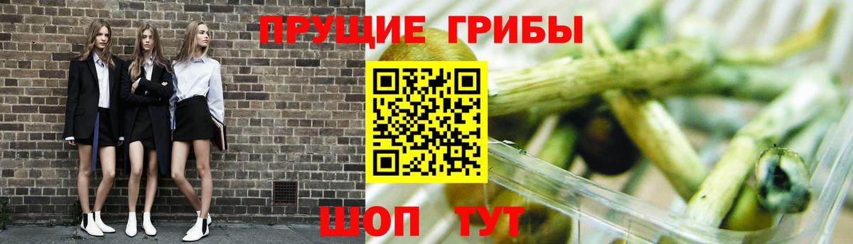Псилоцибиновые грибы Psilocybine cubensis  Вход с VPN  Воткинск  Псилоцибиновые грибы Psilocybine cubensis 